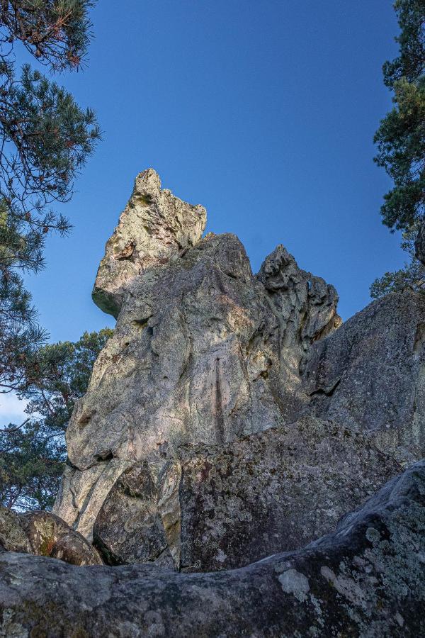 Logisfontainebleau Bed & Breakfast Villiers-sous-Grez ภายนอก รูปภาพ